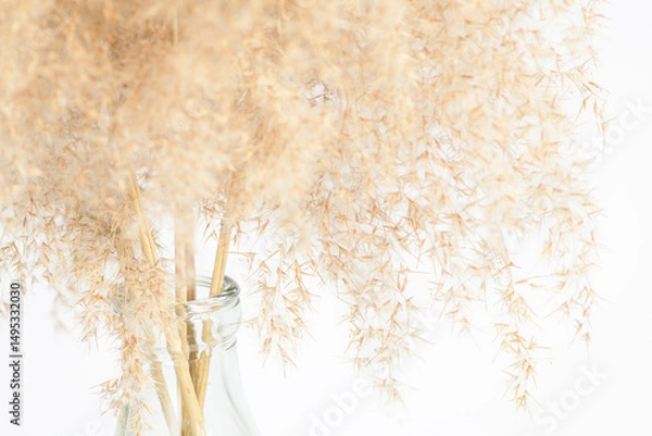 Fototapeta Dried Pampas Grass in Glass Vase — Horizontal Minimalist Still Life with Natural Texture