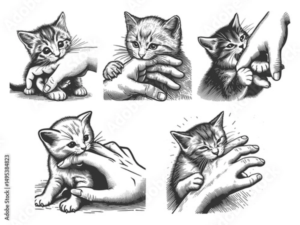 Fototapeta kittens biting hands in a playful Set collection bundle sketch engraving generative ai vector illustration. Scratch board imitation. Black and white image.