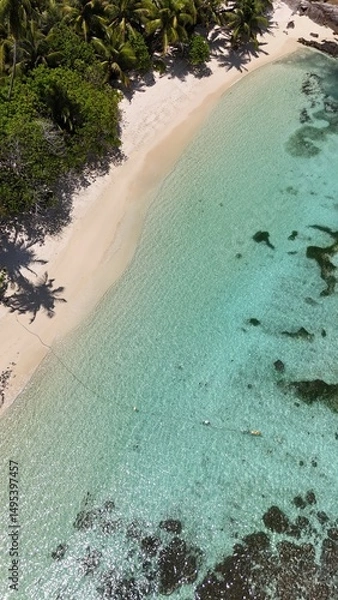 Obraz Drone photo of a white sandy paradise beach on a tropical island with palm trees and turquoise blue ocean water and corals