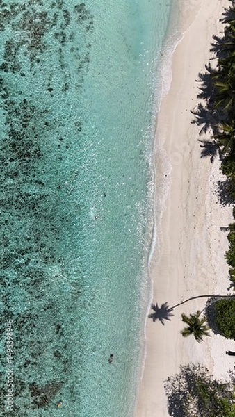 Obraz Drone photo of a white sandy paradise beach on a tropical island with palm trees and turquoise blue ocean water and corals