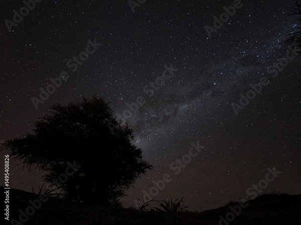 Fototapeta Via Lactea sobre un arbol en el Desierto de Atacama
