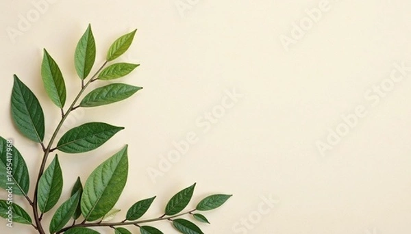 Obraz Subtle, organic leaf motif on a neutral backdrop, nature inspired, subtle