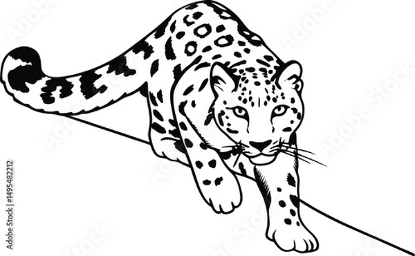 Fototapeta Snow Leopard Line Art: Majestic snow leopard illustration, elegant, powerful, and poised, ready to pounce. The detailed line art captures the feline's unique spotted coat and intense gaze.