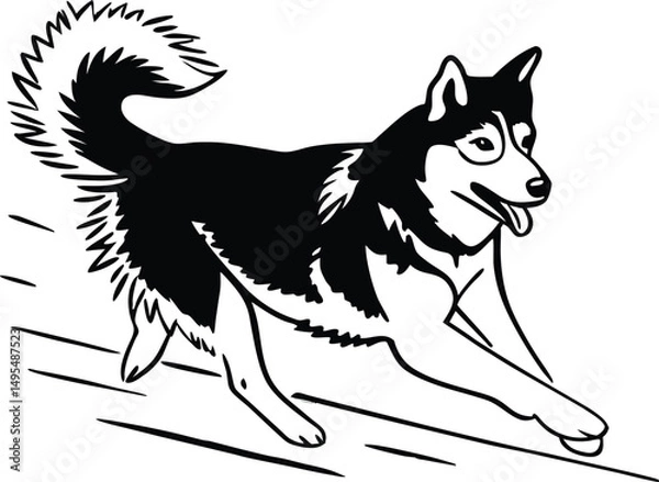 Fototapeta Energetic Husky in Motion: A dynamic black and white illustration captures a Siberian husky bounding with pure exuberance, a testament to the breed's spirited nature and zest for life.