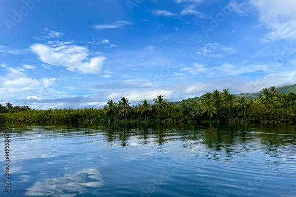 Fototapeta tropical river in jungle with palm trees on the shore against sky
