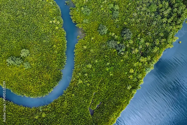 Fototapeta winding river in jungle, tropical landscape aerial view