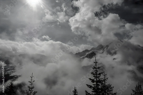 Obraz sonne baum tanne