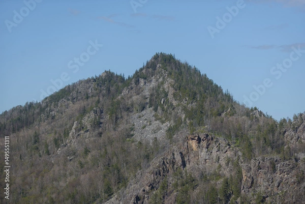 Fototapeta A majestic pointed mountain covered with forest.