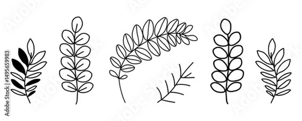 Obraz Set of six natural icons isolated on  white background. In  black and white version,  leaves and stems. Environment, nature, flora. Decoration for postcards, posters, business cards, invitations.