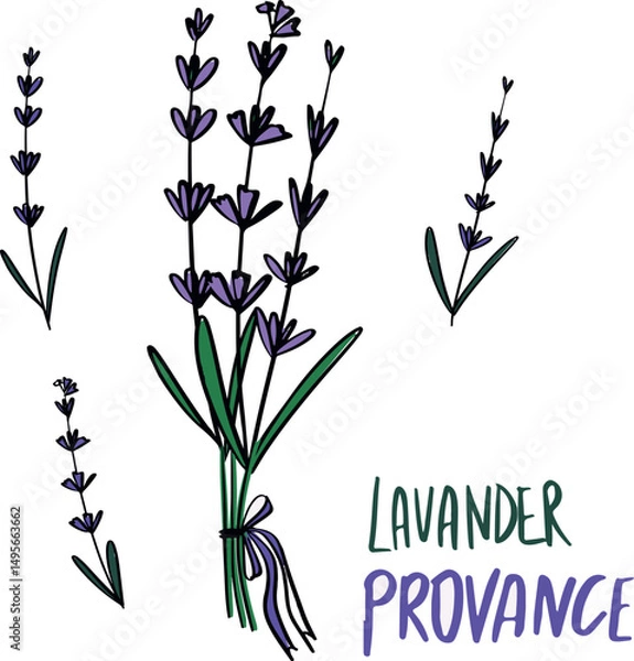 Fototapeta lavander flovers provance set