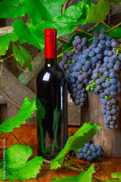 Obraz A bottle of red wine on the background of  grapes