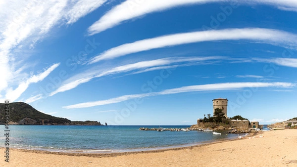 Obraz giglio campese