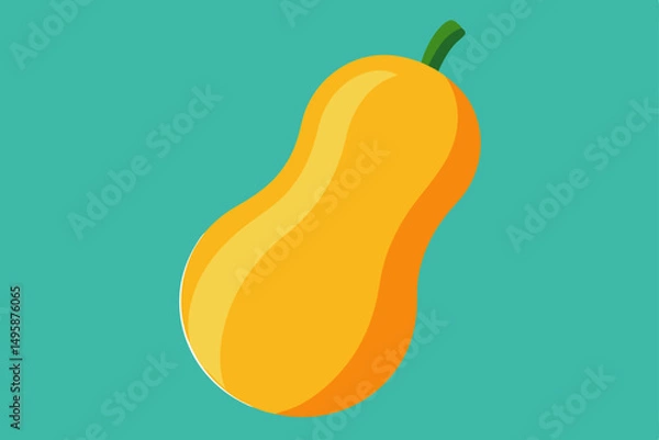 Obraz butternut squash  .svg