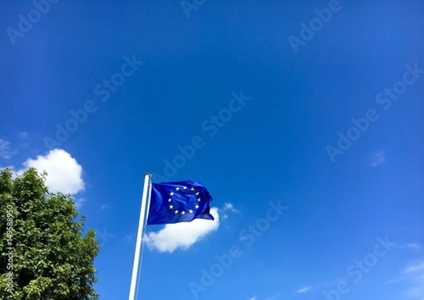 Fototapeta Europaflagge und Baum