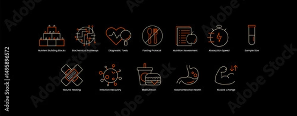 Obraz Gastrointestinal and Metabolic Health. Gastrointestinal Health, Metabolism & Jaundice, Metabolism Regulation, Biochemical Pathways, Muscle Change