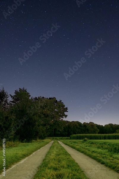 Obraz Road into the night