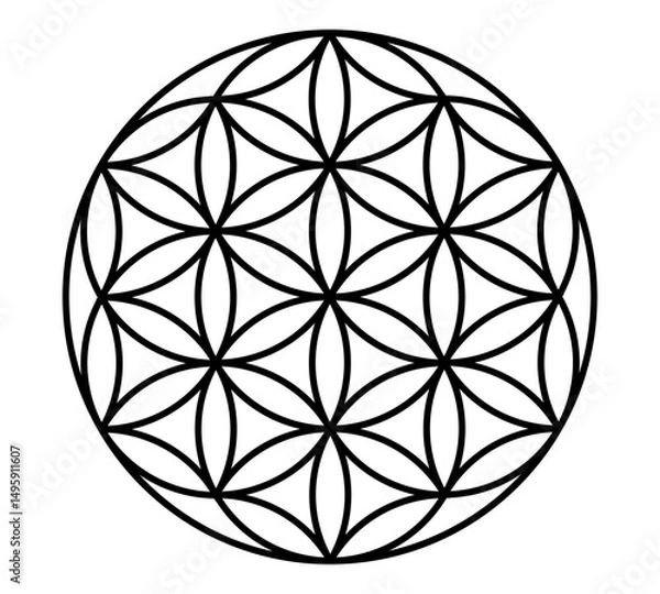 Fototapeta flower of life vector for background wallpaper template decoration symbol icon web tattoo logo. vector illustration