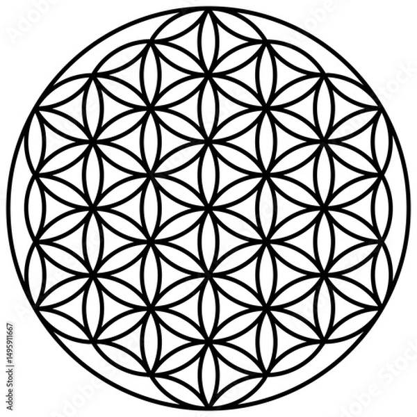Fototapeta flower of life vector for background wallpaper template decoration symbol icon web tattoo logo. vector illustration