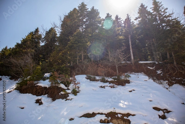 Fototapeta Winter Snow Mountain 