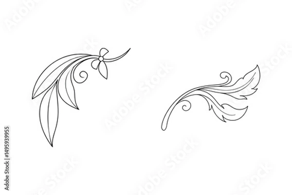 Obraz Elegant vector decorative floral elements black outlined botanical design for artistic projects