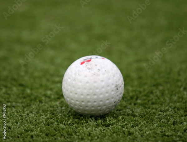 Obraz hockey ball on the grass