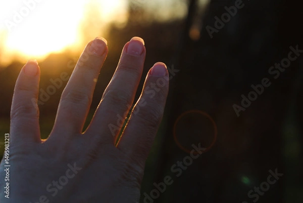 Fototapeta Reaching Hand Towards the Setting Sun