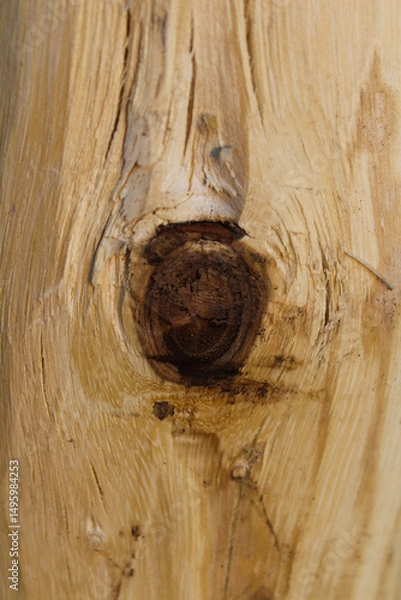 Fototapeta Close-up of a wood knot showing texture and grain detail.