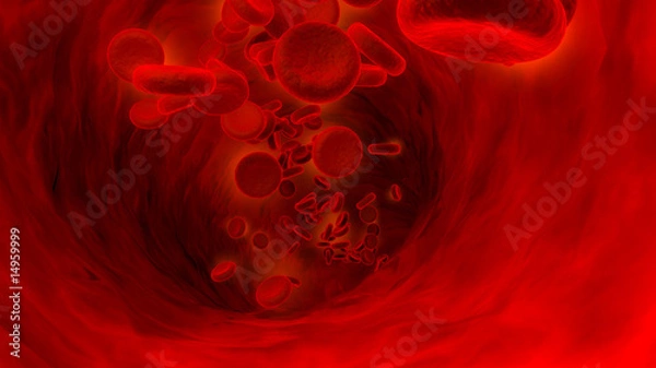 Obraz red blood cell