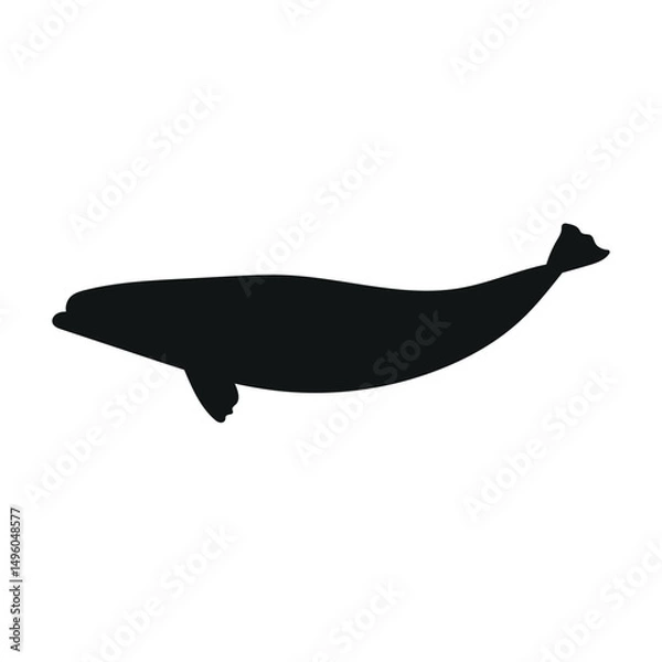 Fototapeta Vector flat hand drawn beluga whale silhouette isolated on white background