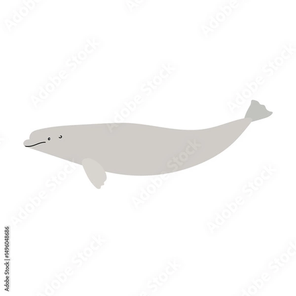 Fototapeta Vector flat hand drawn beluga whale isolated on white background