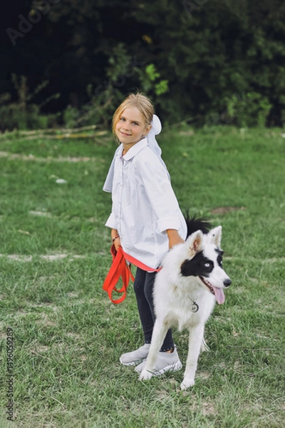 Obraz Little blond girl in white shirt walking with her pet dog outdooors on nature in summer. Yakutian Laika dog breed. Happy childhood