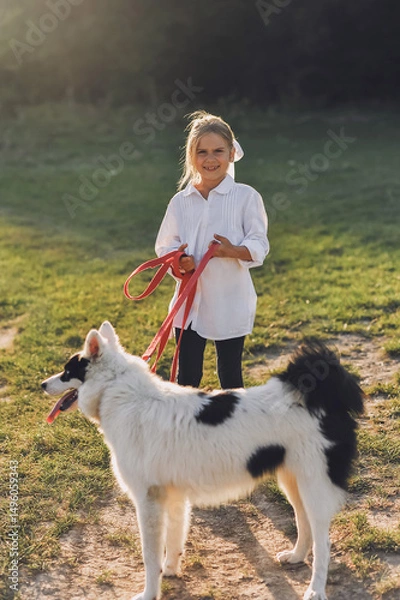 Obraz Little smiling girl in white shirt walking with her pet dog outdooors on nature in summer. Yakutian Laika dog breed.