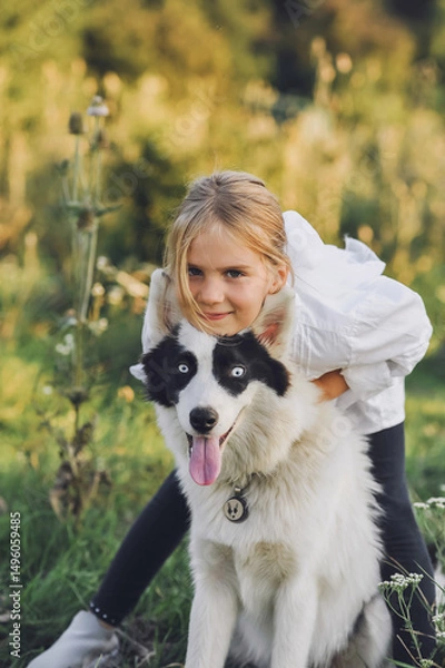 Obraz Little blond girl in white shirt with her pet dog outdooors on nature in summer. Yakutian Laika dog breed. Happy childhood concep