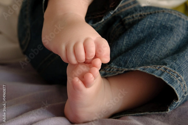 Obraz Los pies del bebe