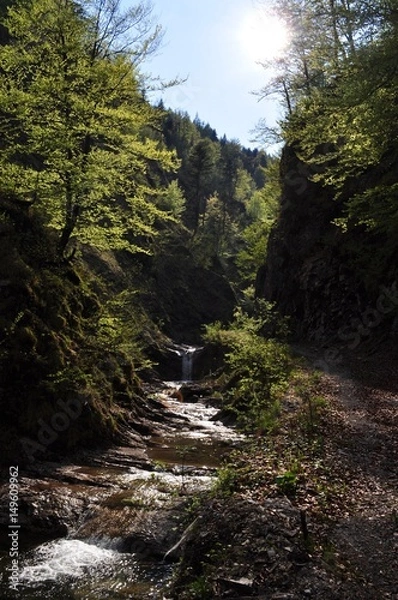 Fototapeta Nature #1