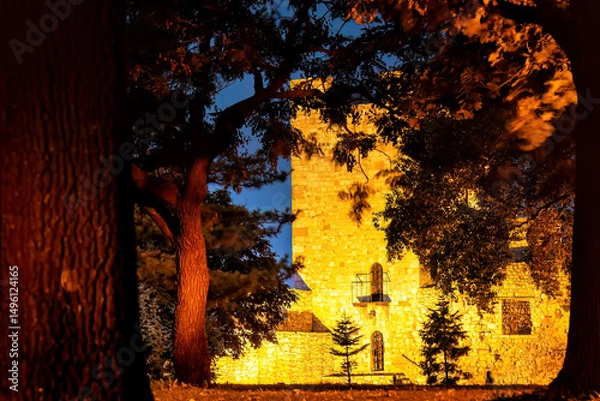 Obraz Belgrade fortress Kalemegdan illuminating night sky through trees