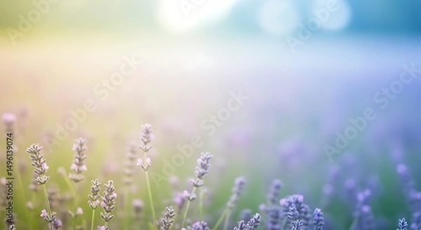 Obraz Blurred bokeh-style abstract background using lavender, lemon yellow, and sky blue, creating a peaceful, soft-focus visual with a minimalist and calm aesthetic for modern and elegant design use.