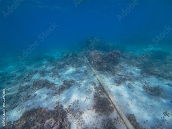 Obraz Underwater pipe through coral reef in Fiji 