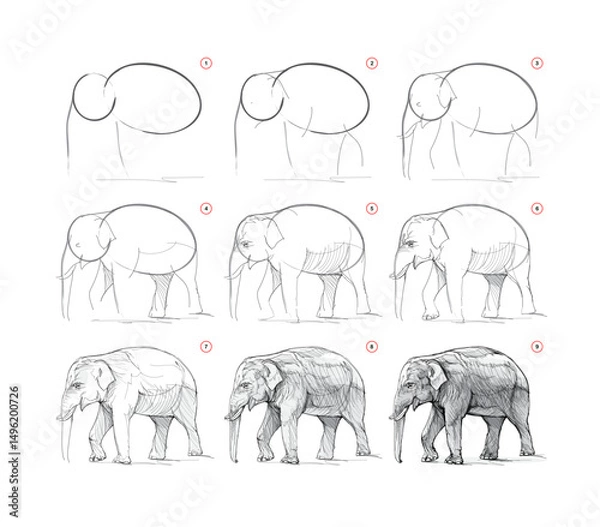 Fototapeta Page shows how to learn to draw from life sketch of the Asian elephant. Pencil drawing lessons. Educational page for artists. Textbook for developing artistic skills. Hand drawn vector illustration.