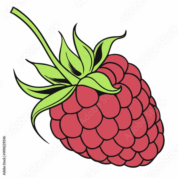 Fototapeta Simple Raspberry Illustration and wild berries mix, raspberry, blueberries, blackberries isolated on white background, clipping path, full depth of field