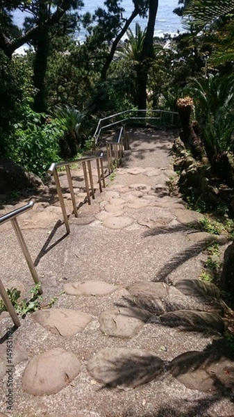 Fototapeta 新しい場所へ