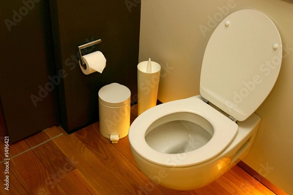 Fototapeta wc #1