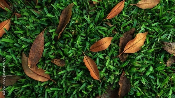 Obraz Grass with Dry Leaves Texture : Suitable for Be Used as Background and Content in Any Project (Print, Graphic Design, Blog Posts, Social Media Posts or Website Related to Environment Theme)