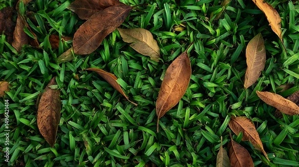 Obraz Grass with Dry Leaves Texture : Suitable for Be Used as Background and Content in Any Project (Print, Graphic Design, Blog Posts, Social Media Posts or Website Related to Environment Theme)