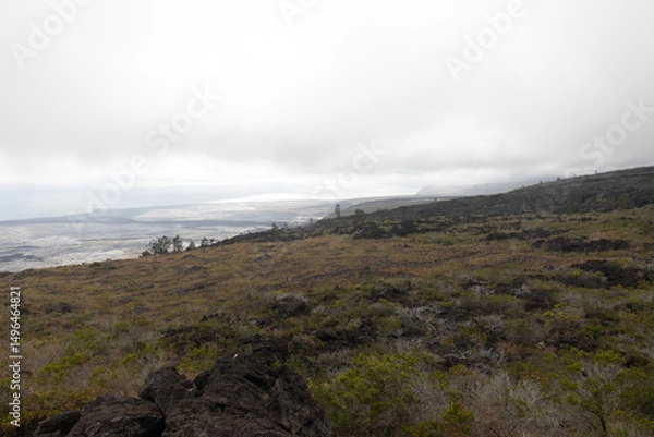 Obraz lava field in hawaii