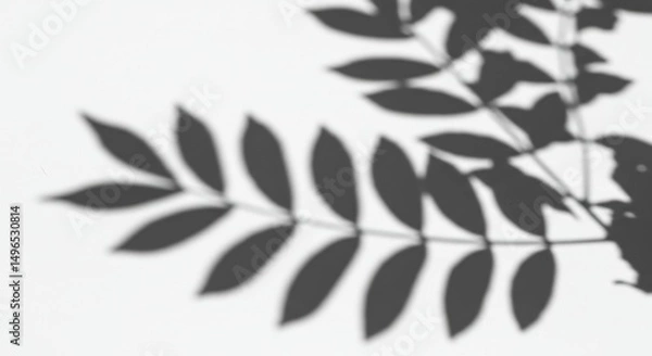 Obraz Abstract Background with Gray Leaf Shadow Overlay