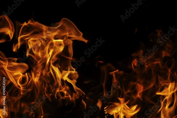 Obraz Fiery Flames Dancing in the Darkness