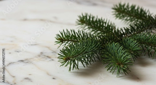 Fototapeta Photo of Fir Branch on Marble Background for Christmas