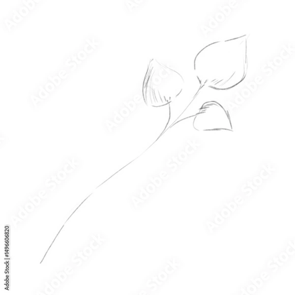 Fototapeta Sketch Branch with Leaves Hand Drawn, Black and White Illustration