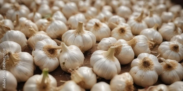 Fototapeta Neatly arranged fresh garlic bulbs, showcasing their aromatic cloves ,  texture,  image